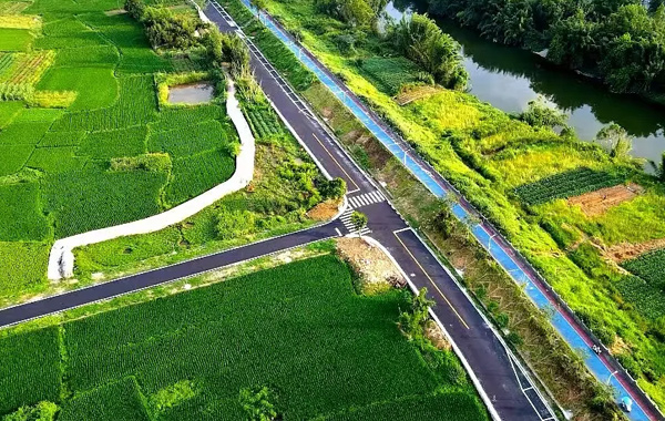 蒼南這條路，通車！