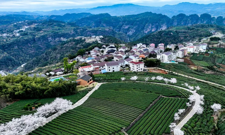 數(shù)據(jù)公布！紹興，全省第一