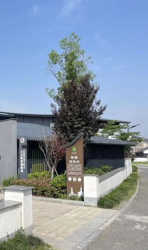 余杭這8個村“抱團(tuán)”，村民一路增收！