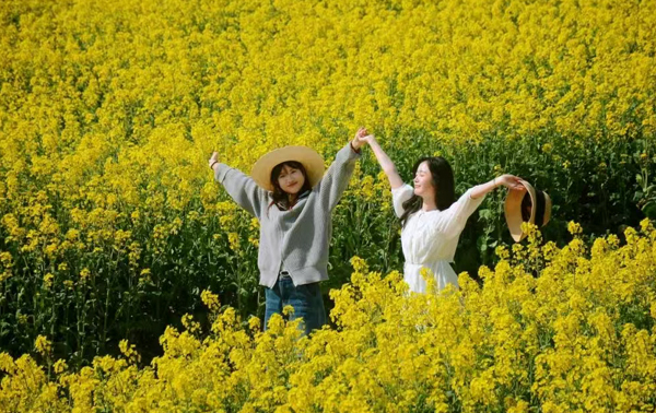 花想開(kāi)了，我想你了～