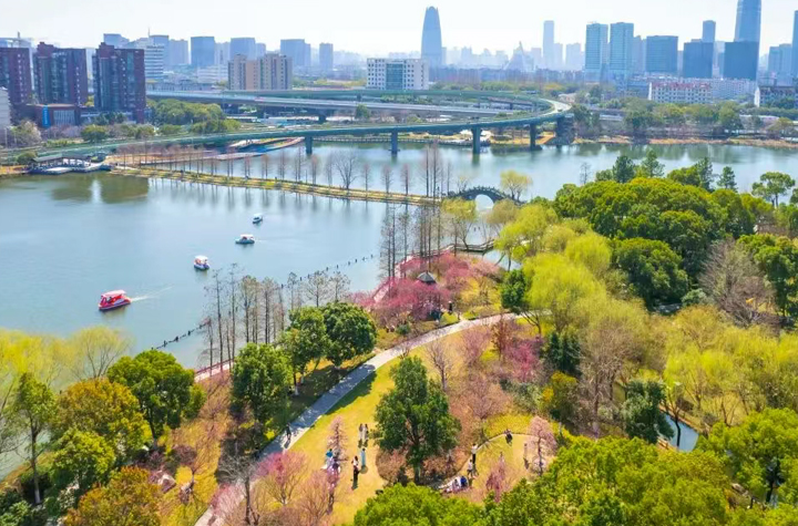 刷屏預(yù)警！江北這里花開成海，美到驚艷！