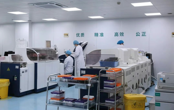 石橋企業(yè)“火力全開”，打響開工“第一槍”