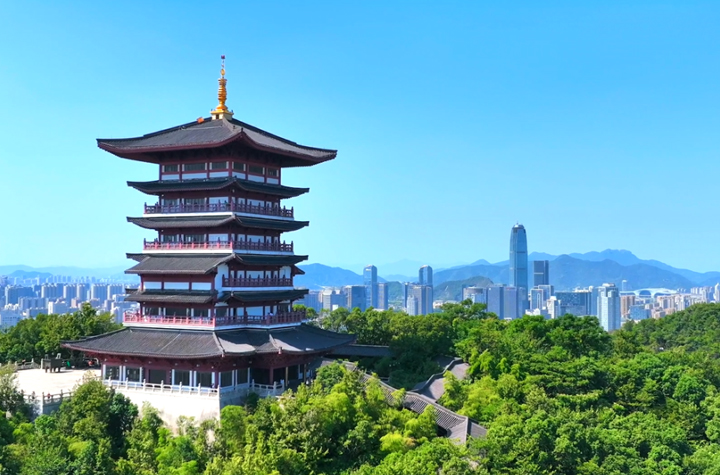 “1+1+9”，臺州“智造”新速度