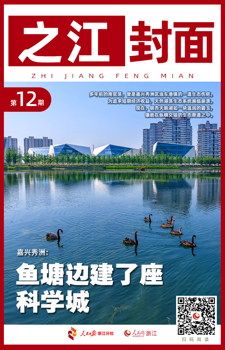 圖片12