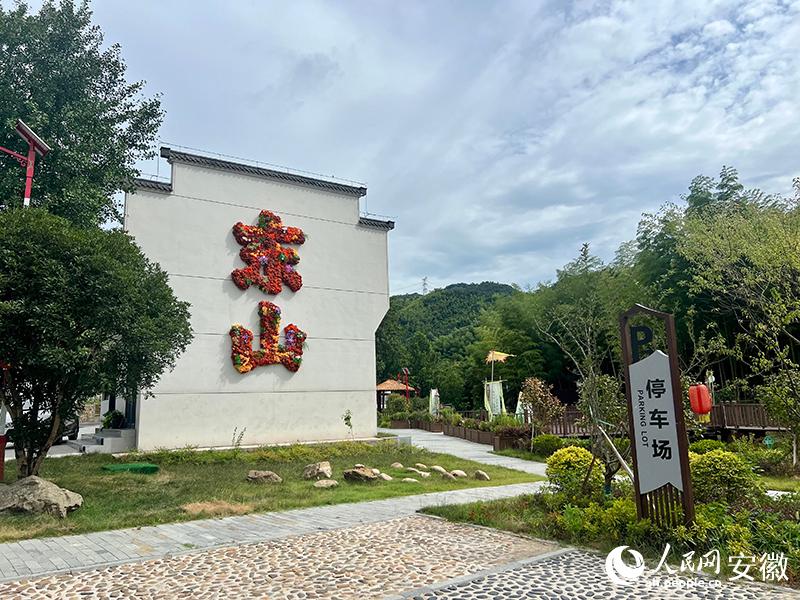南陵縣呂山村東山村民組一隅。人民網(wǎng)記者 汪瑞華攝