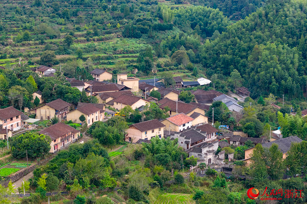 浙江省龍泉市爐地垟村。人民網(wǎng) 章勇濤攝