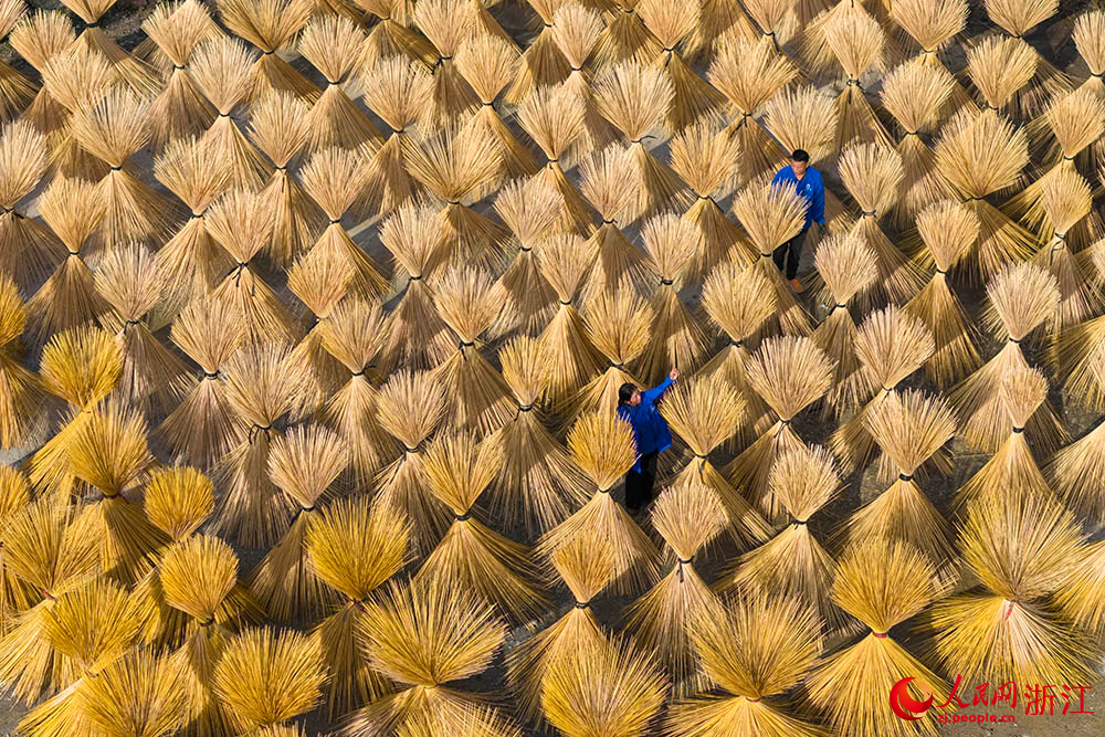 近日，在浙江省龍泉市八都鎮(zhèn)，趁著天氣晴好，工人正在翻曬加工好的竹絲。人民網(wǎng) 章勇濤攝