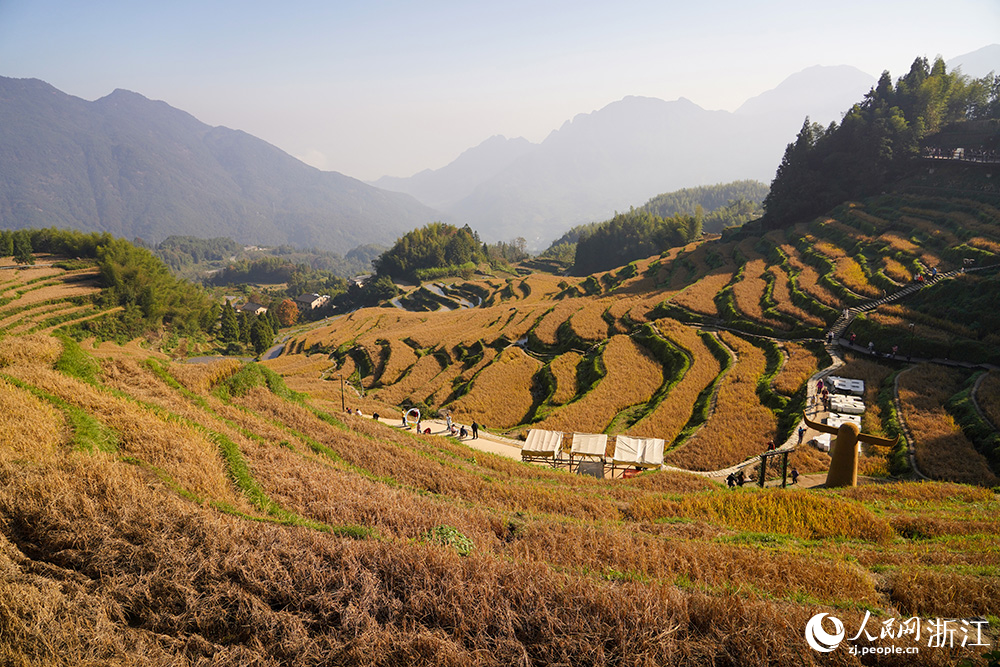 游客在云和梯田欣賞秋色、樂(lè)享時(shí)光。人民網(wǎng) 章勇濤攝