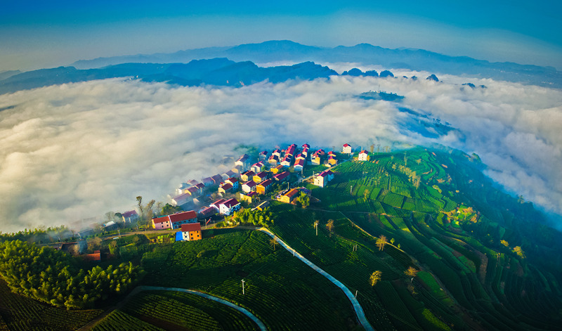 “下巖貝·金山上”片區(qū)。新昌縣委宣傳部供圖