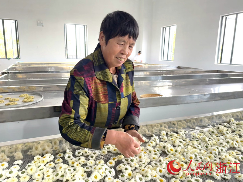 后岱山村村民在金山村云上茶坊上班。人民網(wǎng)記者 方彭依夢攝