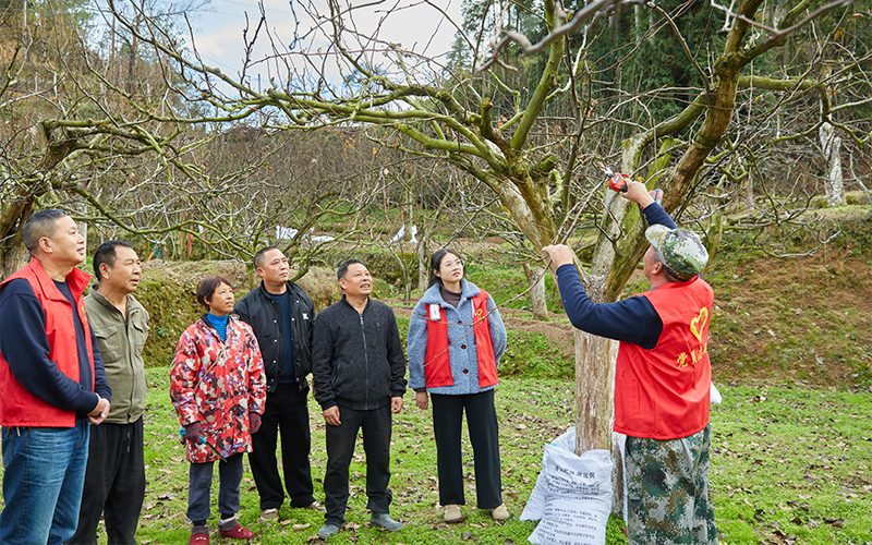 為群眾開展技能培訓(xùn)。云和縣委宣傳部供圖