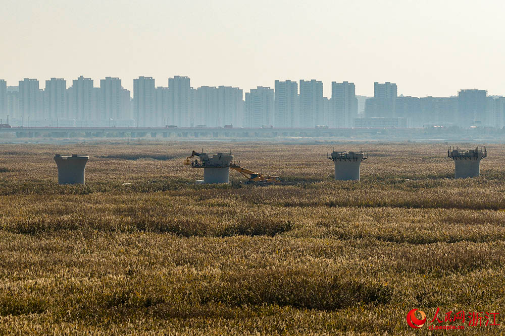 位于浙江省寧波前灣新區(qū)的跨海鐵路大橋建設(shè)現(xiàn)場，中交二航局的建設(shè)者們正在抓緊施工作業(yè)。人民網(wǎng) 章勇濤攝