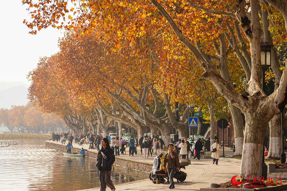 市民游客邂逅西湖獨(dú)有的詩意與美好。人民網(wǎng) 章勇濤攝