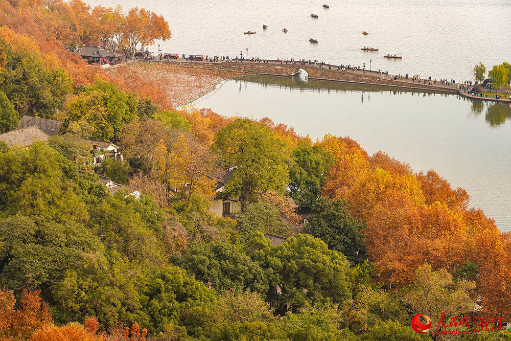 冬日杭州西湖，秋韻未散。人民網(wǎng) 章勇濤攝