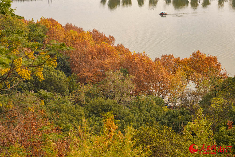 冬日杭州西湖，秋韻未散。人民網(wǎng) 章勇濤攝