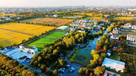 屠甸榮星足球公園。桐鄉(xiāng)市委宣傳部供圖