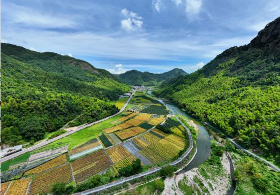 夏日的智仁鄉(xiāng)。沈沁澤攝