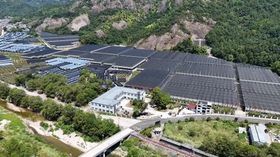 共富大棚。周洪石攝